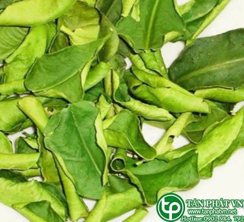 Địa chỉ bán lá chanh sấy tại hcm uy tín chất lượng?